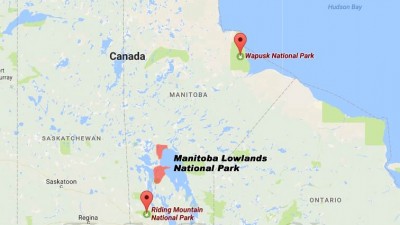 매니토바 저지대 국립공원(Manitoba Lowlands National Park)