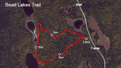 [가을 산행 3번째] (2020년 10월 4일) 라이딩 마운틴 국립공원(Riding Mountain National Park)의 비드호 트레일(Bead Lakes Trail) 외 1곳