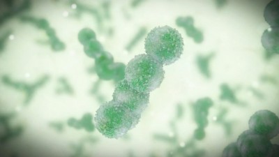 매니토바 주에서는 희귀하고 치명적일 수 있는 박테리아 감염이 증가하고 있어