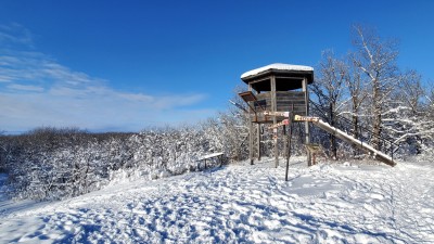 2021년 11월 첫 폭설 후 버즈힐 주립공원에서 크로스컨트리 스키 타기