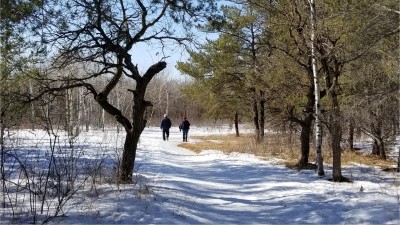 가문비나무 늪 둘레길(Cedar Bog Trail)에서 짧은 산책