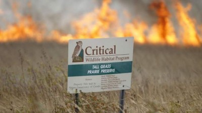 매니토바주 남동부지방에 야생화재로 수백명 대피