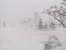 843616978_00c98c1e_mi-blizzard-1997.jpg